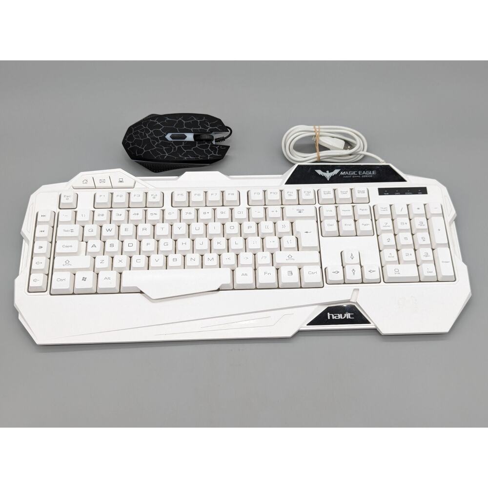 Havic White Keyboard HV-KB558CM Backlit & Lvlup Light Up Pro Gaming Mouse